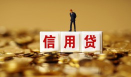 成都8哪有个人借贷-成都8小额贷款公司-成都8私借空放免费上门