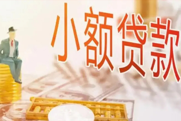 成都8私借空放短借